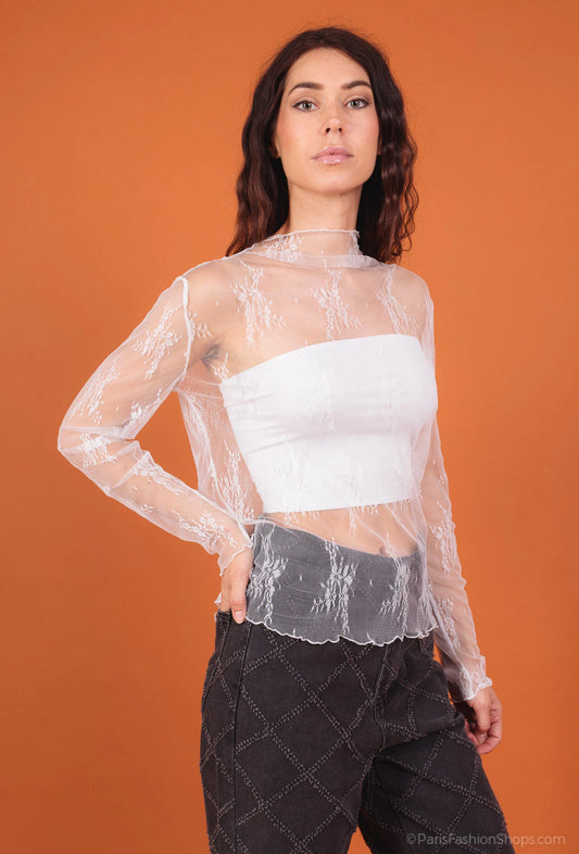 Sheer floral lace top with long sleeves and high neck
