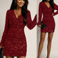 Long sleeve sequins dress